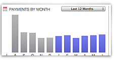 Keep track of bill payment statistics. How much did you pay for each bill?
